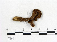 登錄號:F0001887藏品圖，第1張