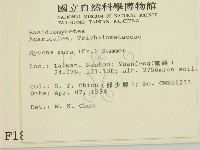 登錄號:F0001888藏品圖，第2張