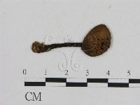 登錄號:F0001888藏品圖，第1張