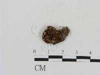 登錄號:F0001889藏品圖，第3張