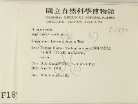 登錄號:F0001890藏品圖，第2張