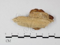 登錄號:F0001890藏品圖，第3張