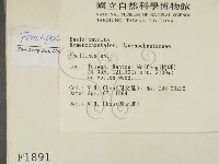 木層孔菌屬藏品圖，第2張