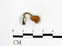 登錄號:F0001892藏品圖，第1張