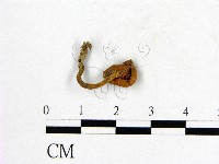 登錄號:F0001892藏品圖，第3張