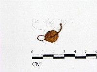 登錄號:F0001893藏品圖，第1張