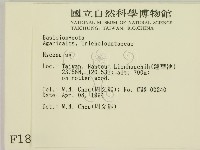 小菇屬藏品圖，第2張