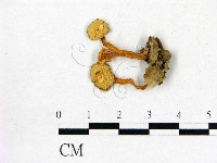 登錄號:F0001897藏品圖，第3張