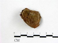 登錄號:F0001898藏品圖，第1張