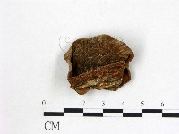 登錄號:F0001898藏品圖，第3張