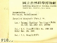 登錄號:F0001899藏品圖，第2張