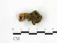 登錄號:F0001899藏品圖，第1張