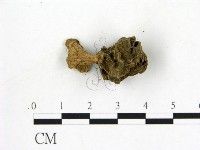 登錄號:F0001899藏品圖，第3張