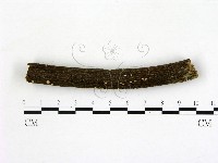 登錄號:F0001900藏品圖，第1張