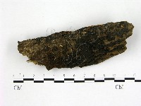 登錄號:F0001901藏品圖，第1張