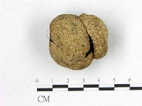 登錄號:F0001902藏品圖，第1張