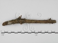 登錄號:F0001903藏品圖，第1張