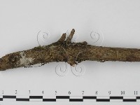 登錄號:F0001903藏品圖，第3張