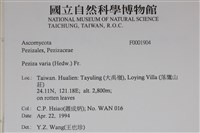 登錄號:F0001904藏品圖，第2張