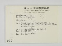 登錄號:F0001905藏品圖，第2張