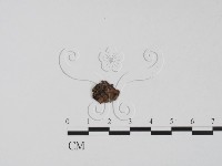 登錄號:F0001905藏品圖，第1張