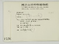 炭角菌屬藏品圖，第2張