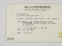 登錄號:F0001907藏品圖，第2張