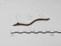 登錄號:F0001907藏品圖，第1張