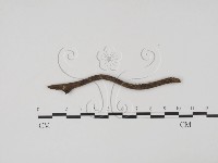 登錄號:F0001907藏品圖，第3張