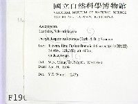 登錄號:F0001908藏品圖，第2張