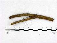 登錄號:F0001908藏品圖，第1張