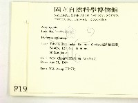 登錄號:F0001909藏品圖，第2張