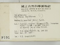登錄號:F0001911藏品圖，第2張