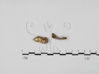 登錄號:F0001911藏品圖，第1張