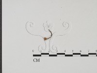 登錄號:F0001912藏品圖，第1張
