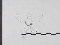 登錄號:F0001912藏品圖，第3張