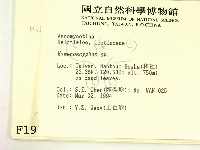 登錄號:F0001913藏品圖，第2張