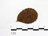 登錄號:F0001913藏品圖，第3張