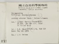 登錄號:F0001914藏品圖，第2張