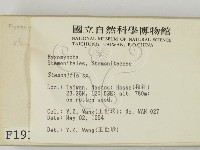 登錄號:F0001915藏品圖，第2張