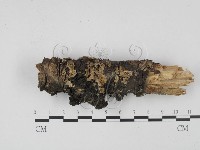 登錄號:F0001915藏品圖，第1張
