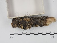 登錄號:F0001915藏品圖，第3張