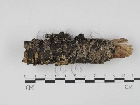 登錄號:F0001915藏品圖，第4張