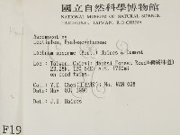 登錄號:F0001916藏品圖，第2張