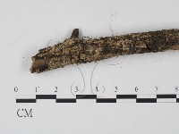 登錄號:F0001916藏品圖，第3張