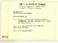 登錄號:F0001917藏品圖，第2張