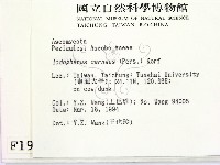 登錄號:F0001920藏品圖，第2張