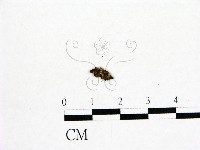 登錄號:F0001920藏品圖，第3張