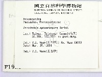 登錄號:F0001921藏品圖，第2張