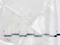 登錄號:F0001921藏品圖，第1張
